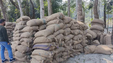 নলছিটিতে পরিত্যক্ত ৪৫০ বস্তা আলু জব্দ