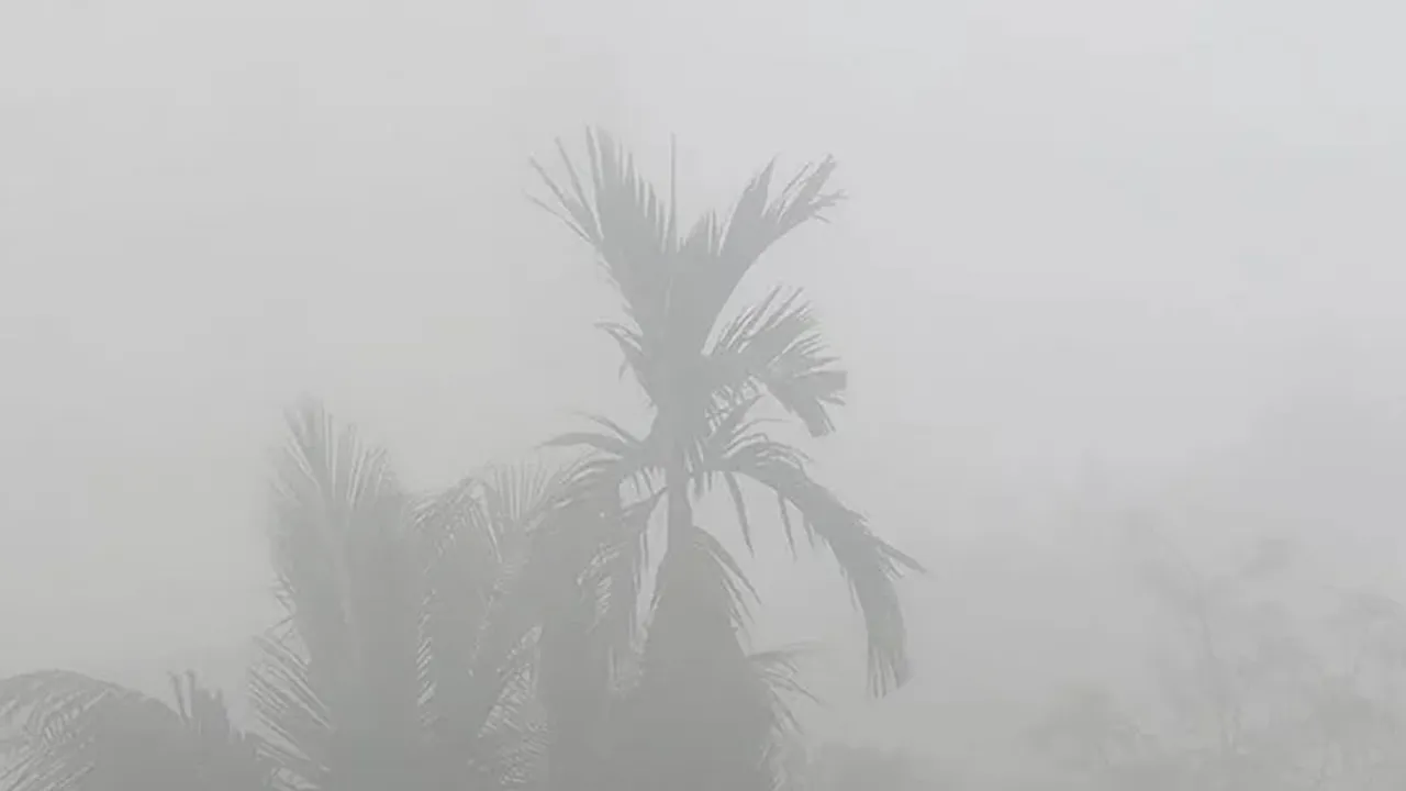আজ মৌসুমের সর্বনিম্ন তাপমাত্রা নওগাঁয়, ৬.৭ ডিগ্রি