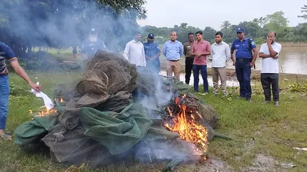 নাটোরে যৌথ অভিযানে নিষিদ্ধ জাল ধ্বংস