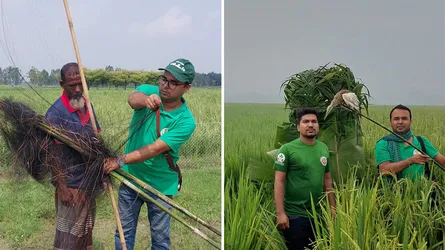 সিংড়ার চলনবিলে পাখি শিকার, বক-ঘুঘু অবমুক্ত