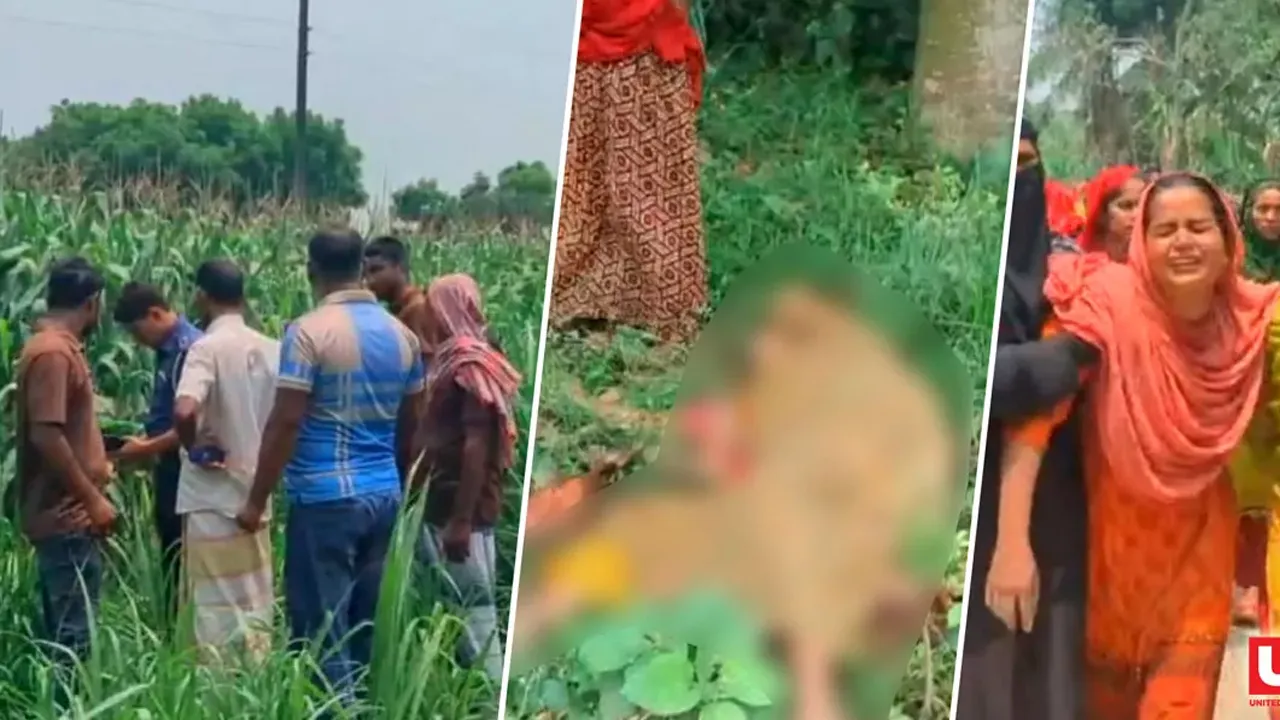 নাটোরে শিশুকে ধর্ষণ ও হত্যার পর মুখে অ্যাসিড : অপরাধীদের সবাই কিশোর