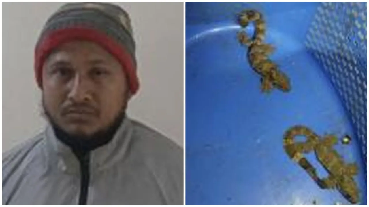 নাজিরপুরে নিষিদ্ধ বন্যপ্রাণী তক্ষকসহ আটক ১