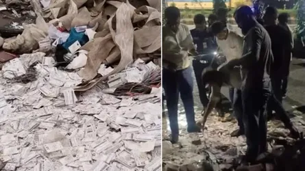 নারায়ণগঞ্জে সড়কের পাশে মিলল ৫ বস্তা এনআইডি কার্ড