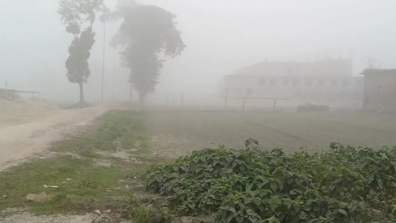 নীলফামারীতে হাড় কাঁপানো শীতে বিপর্যস্ত জনজীবন