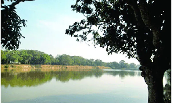 ছবি শুধু ছবি নয়