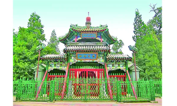 ছবি শুধু ছবি নয়
