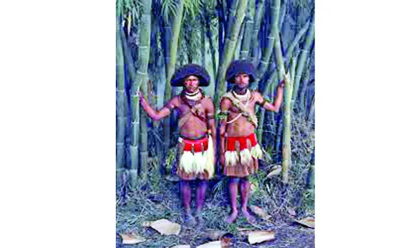 হুলি মানুষ : লোপা জয়নুল আবেদীন