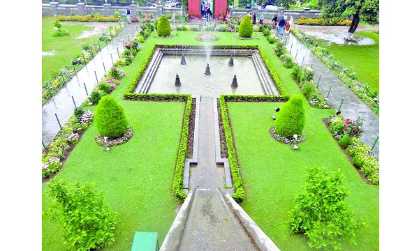 ছবি শুধু ছবি নয়