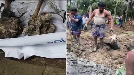 নোয়াখালীতে মা-শিশুকে হত্যা, লাশ গুমের ২ বছর পর কঙ্কাল উদ্ধার
