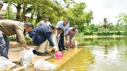 নোবিপ্রবিতে মাছের পোনা অবমুক্তকরণ কর্মসূচি পালিত