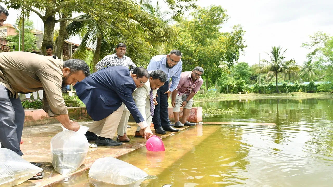 নোবিপ্রবিতে মাছের পোনা অবমুক্তকরণ কর্মসূচি পালিত