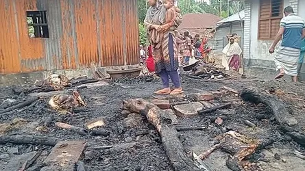 নলডাঙ্গায় আগুনে কৃষকের ৮টি ছাগল পুড়ে ছাই