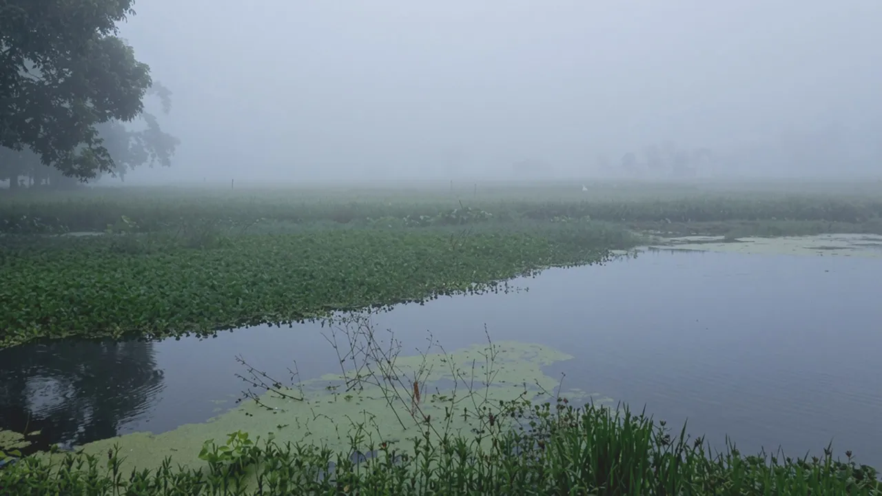 উত্তরাঞ্চলে শরতেই কুয়াশার আগমন