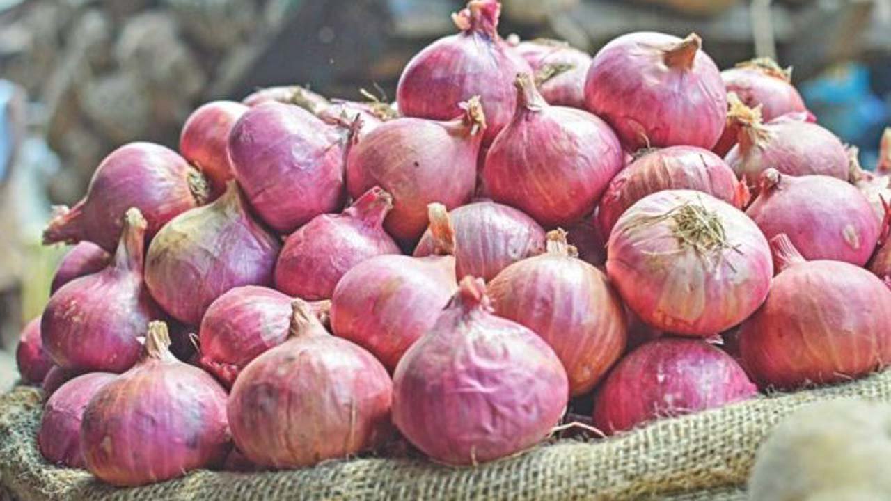 onion