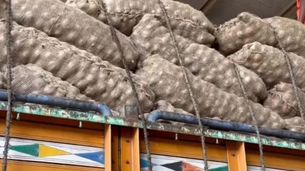 আমদানির পেঁয়াজেও বাজারে ঝাঁজ