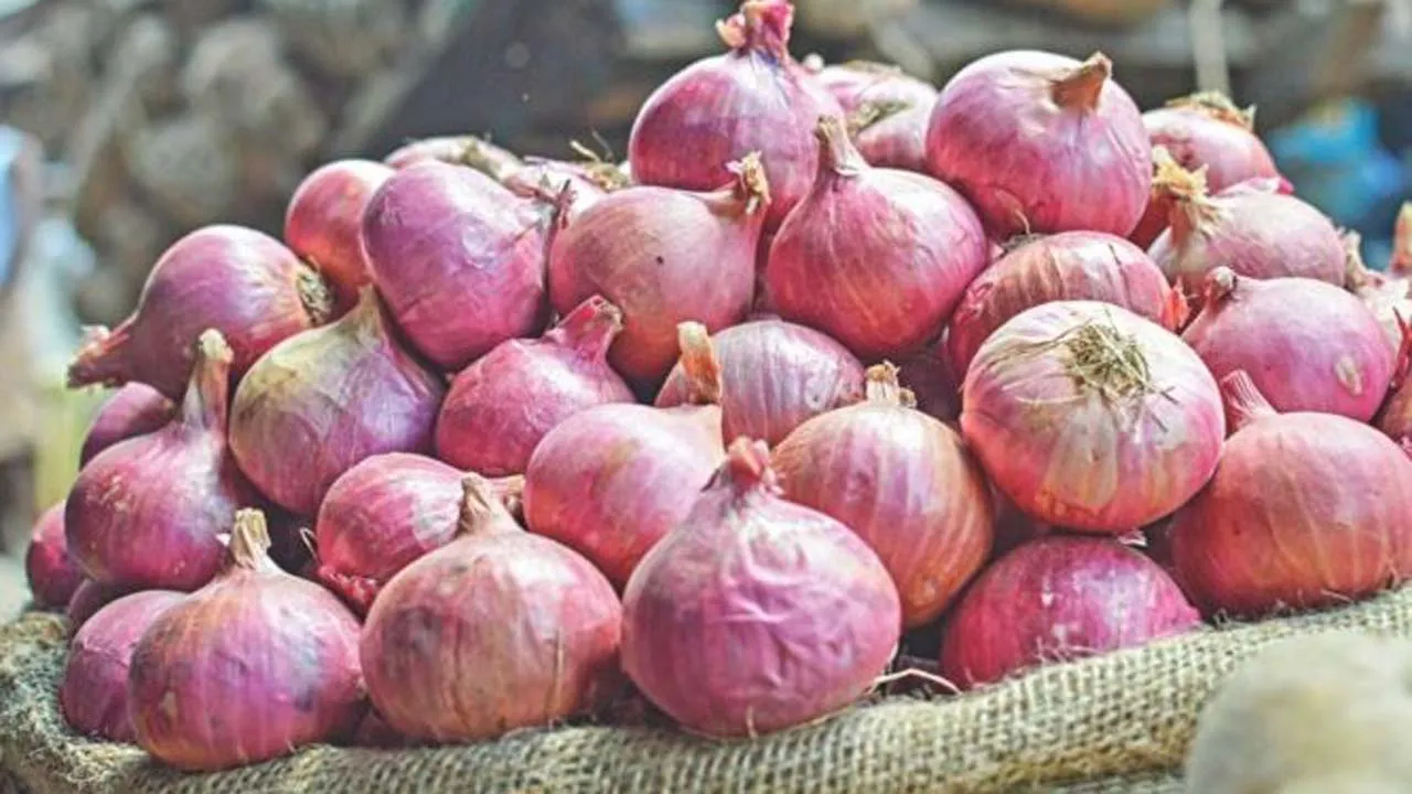 পেঁয়াজ আমদানির অনুমতি আরো বাড়ানো হলো