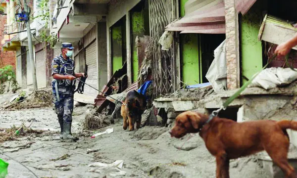 নেপালে আন্তর্জাতিক চাপে উদ্ধারকাজে বিদেশী দল নামানোর অনুমতি