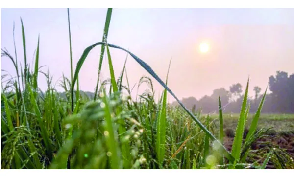হেমন্তের মোহনীয় রূপ: শারমিন নাহার ঝর্ণা