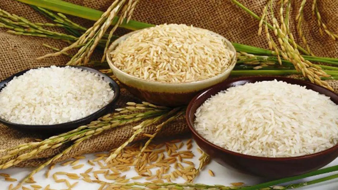 আমদানি-বাজার নিয়ন্ত্রণহীনতায়  আমন ধানের দাম নিম্নমুখী