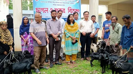 পানছড়িতে দরিদ্র জেলেদের মাঝে ছাগল ও শুকর বিতরণ