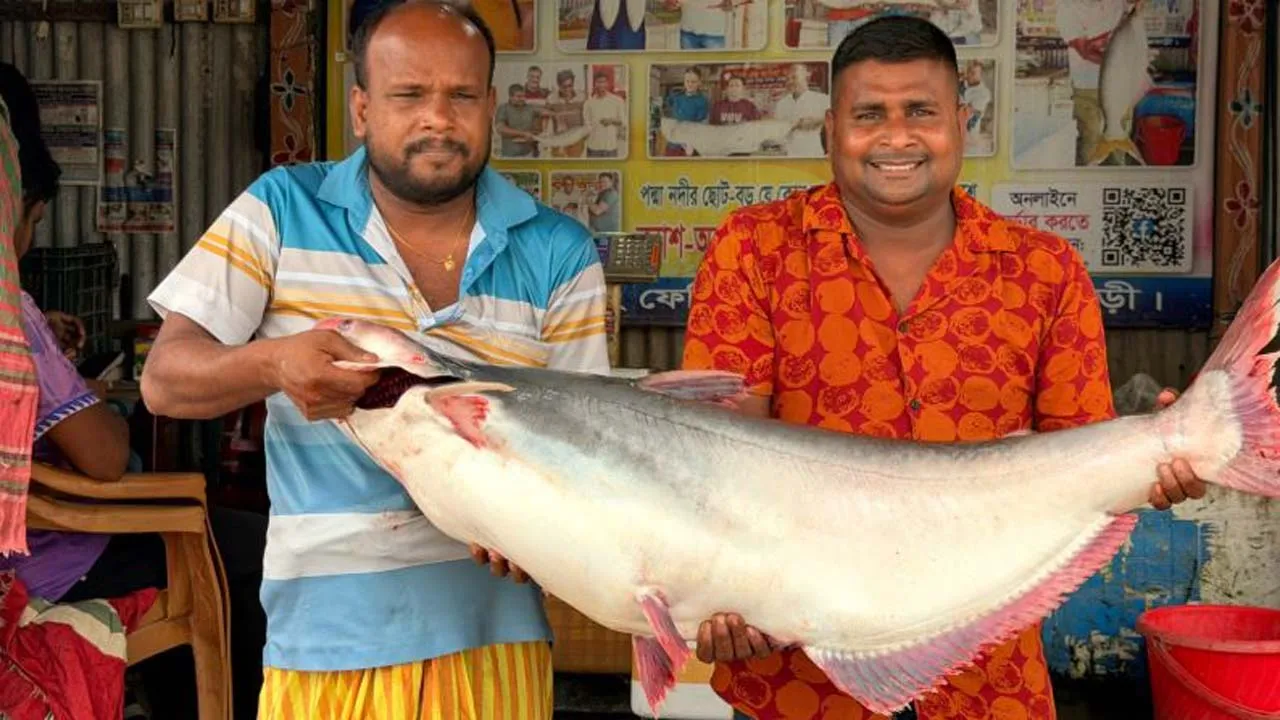 এক পাঙ্গাশের দাম ৩৩ হাজার টাকা
