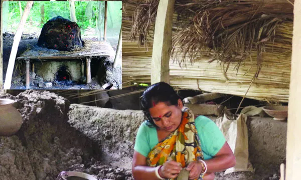 পালপাড়ায় আগের মতো নেই পালদের বসবাস : এস আর শানু খান