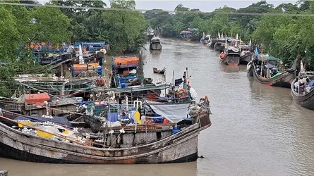 মা ইলিশ রক্ষায় শনিবার থেকে মাছ ধরায় নিষেধাজ্ঞা