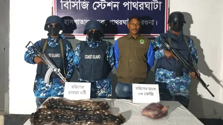পাথরঘাটায় হরিণের গোশতসহ ২টি চামড়া জব্দ