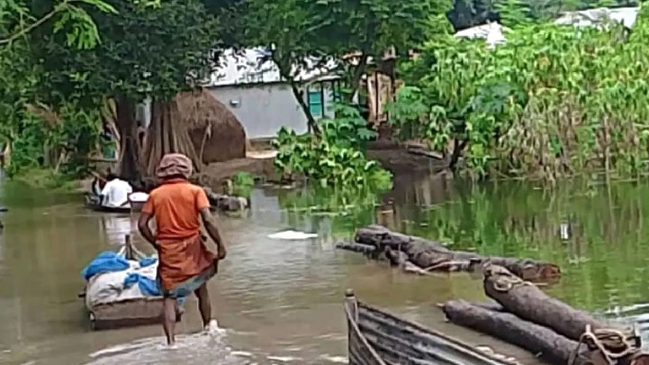 পদ্মার পানি বৃদ্ধিতে নদীপাড়ের হাজার হাজার মানুষ পানিবন্দী