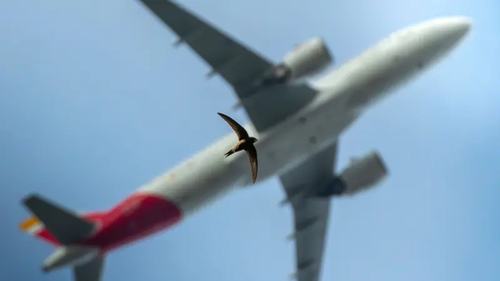 photo-feature-1