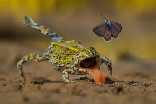 photo-feature-10