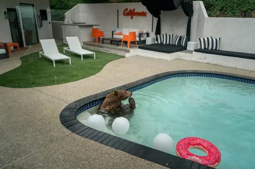 photo-feature-13