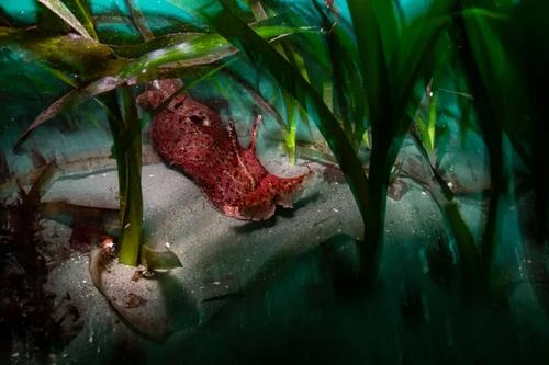photo-feature-14
