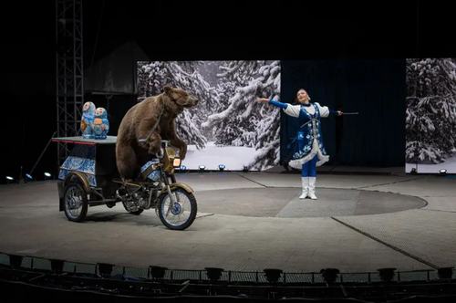 photo-feature-15