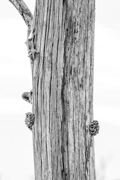 photo-feature-9