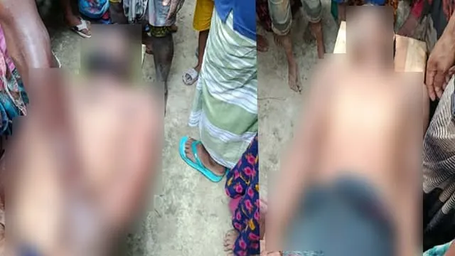 পোরশায় মাছ ধরতে গিয়ে বিদ্যুৎস্পৃষ্ট হয়ে ২ জনের মৃত্যু