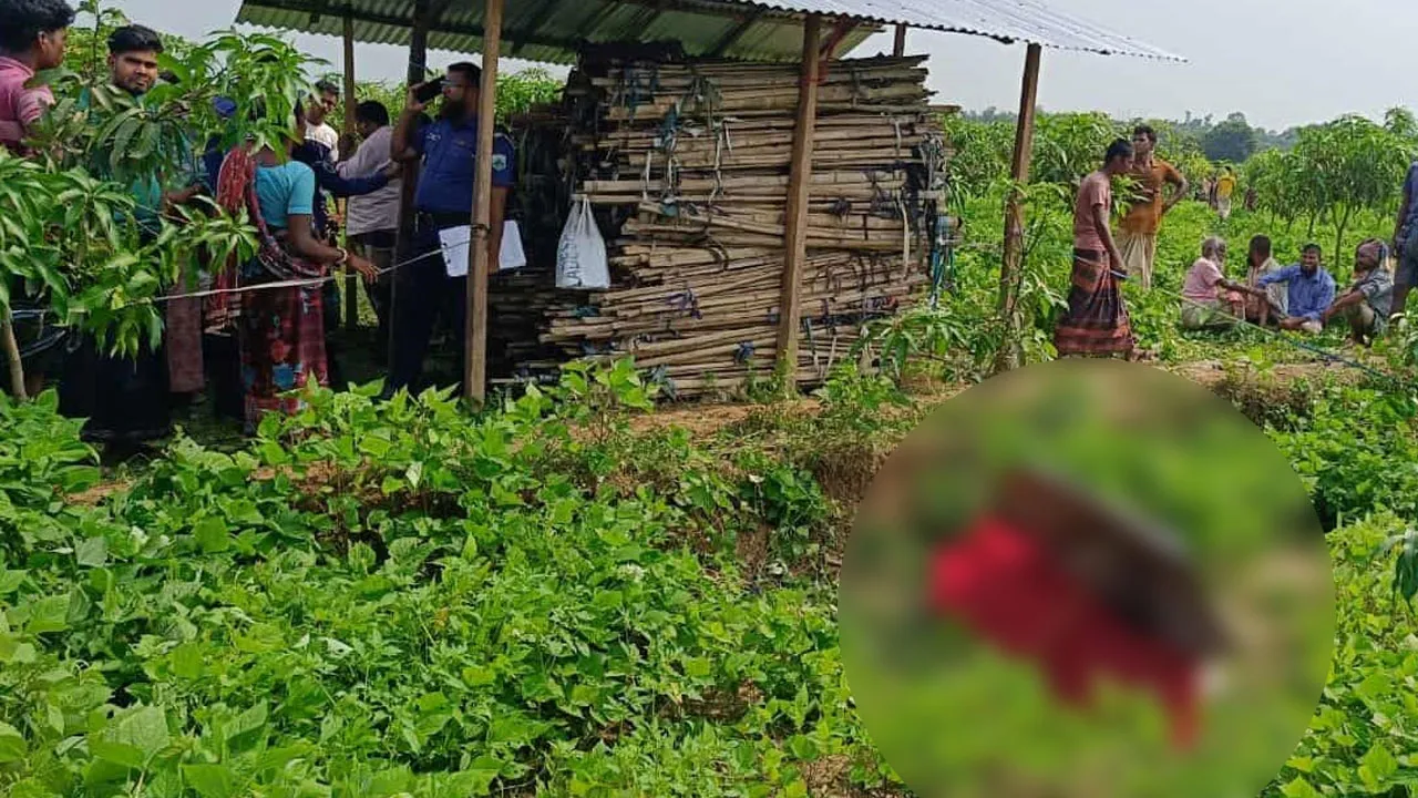 পোরশায় সকালে নিখোঁজ শিশুর দুপুরে লাশ উদ্ধার