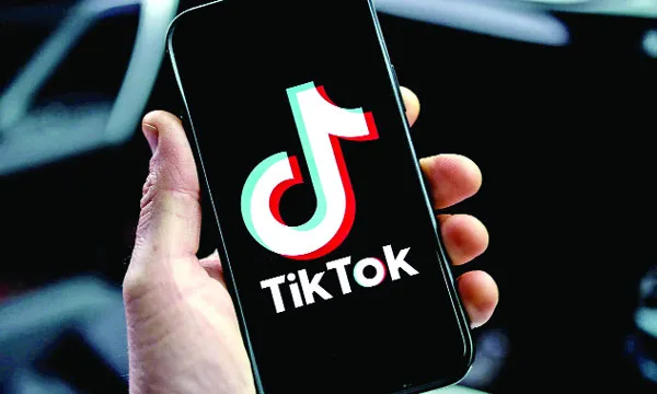 বাংলাদেশী ইউজাররা টিকটকে কি সার্চ করে?