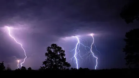 নালিতাবাড়ীতে বজ্রপাতে কৃষকের মৃত্যু