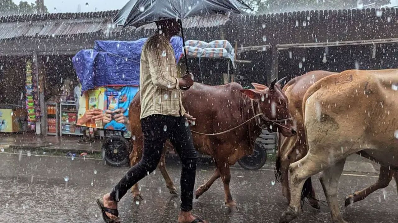 rain