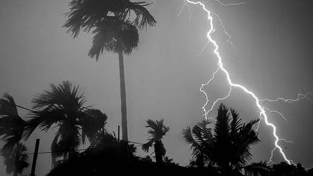 rain