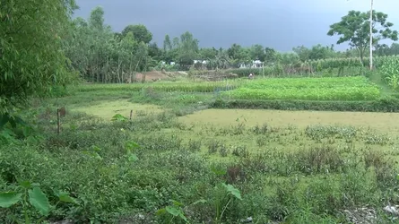 রংপুরে ২৫ বছর ধরে ২৫ গ্রামের মানুষ সরাসরি সড়ক থেকে যোগযোগ বিচ্ছিন্ন