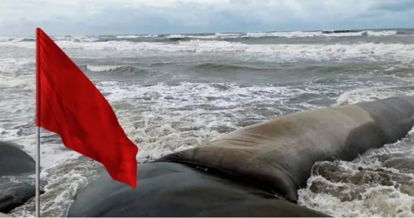 সাগরে আবারো লঘুচাপ, সমুদ্রবন্দরে ৩ নম্বর সঙ্কেত