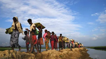 রোহিঙ্গাদের আত্মরক্ষার উদ্যোগ প্রসঙ্গে