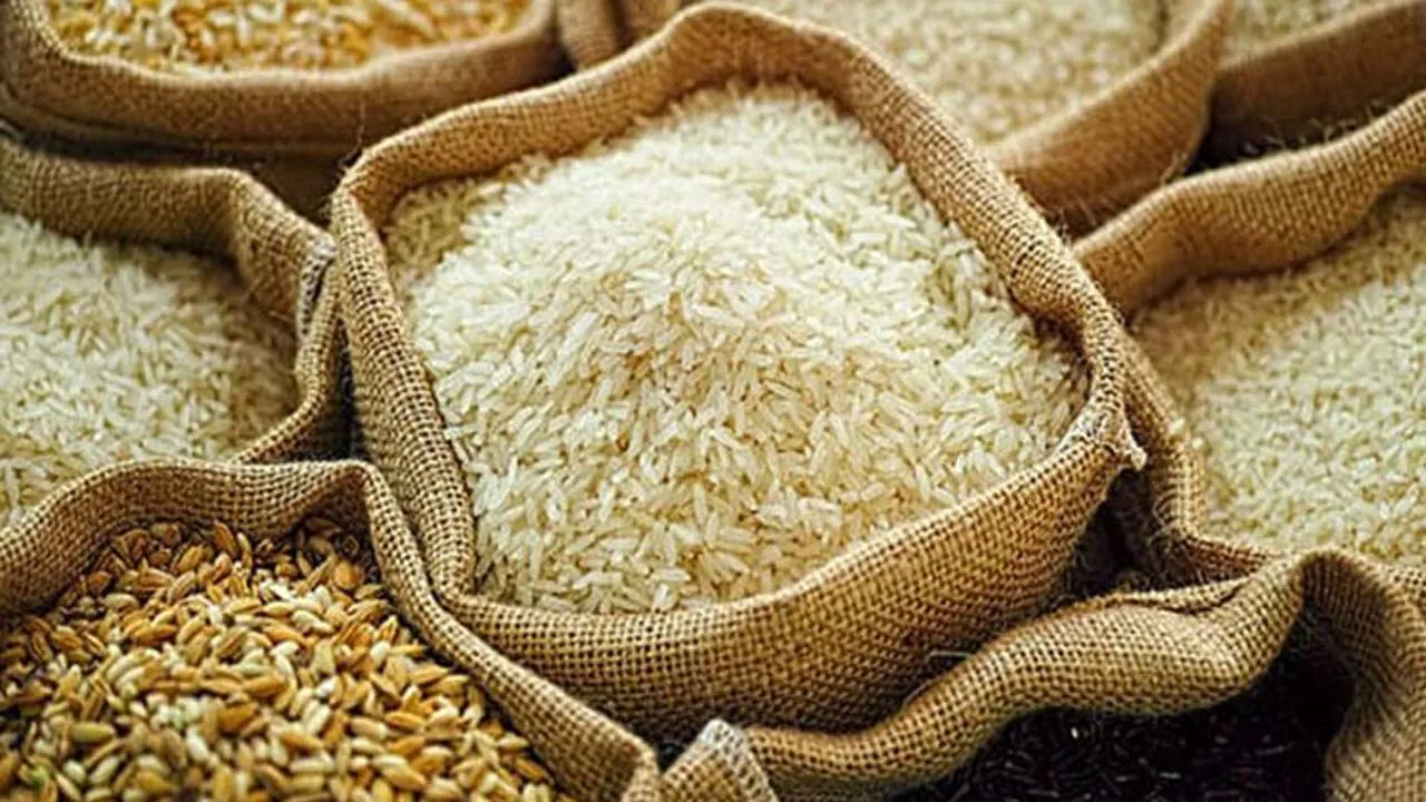 সরকারি গুদামে ১৭.৭১ লাখ মেট্রিক টন খাদ্য মজুদ রয়েছে : খাদ্যমন্ত্রী