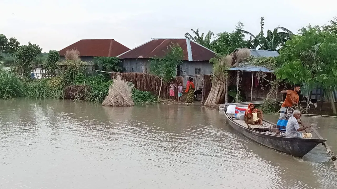 বাঘায় পদ্মার ভাঙনে ৩ স্কুল নদীগর্ভে, ঘরবাড়ি হারিয়ে আশ্রয়হীন শতাধিক পরিবার
