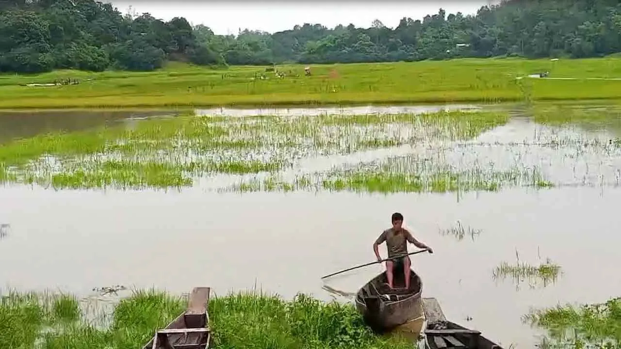 রাঙ্গামাটিতে বন্যা ও কাপ্তাই হ্রদের পানি বৃদ্ধিতে ফসলের ব্যাপক ক্ষতি