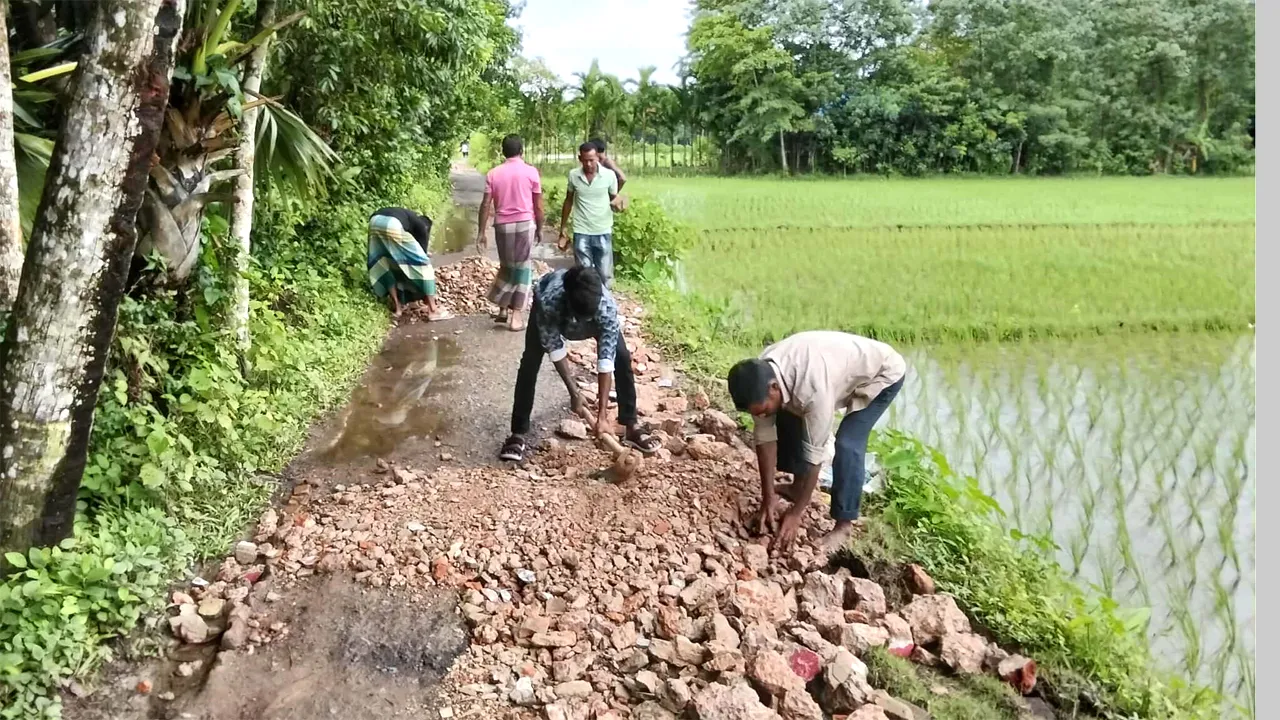 বন্যায় ক্ষতিগ্রস্ত রাস্তা মেরামত করল এলাকাবাসী