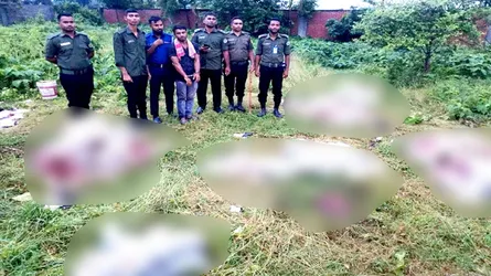 রূপগঞ্জে ৫টি ঘোড়ার গোশত উদ্ধার