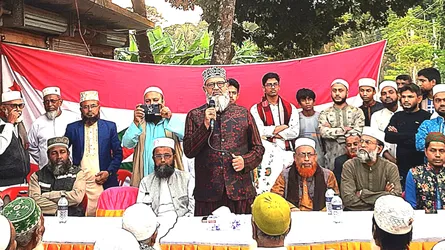 হাসিনার ১৬ বছরের বড় বড় শক্তি কোনো কাজে লাগেনি : শামীম সাঈদী